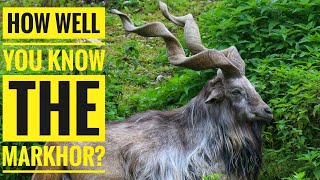 Markhor  Description Characteristics and Facts [upl. by Negeam]