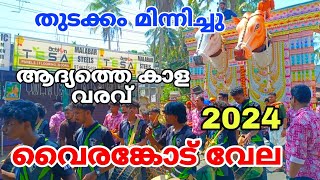 ആദ്യത്തെ കാള വരവ്  വൈരങ്കോട് വേല 2024 [upl. by Niamjneb433]