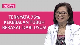 Manfaat Prebiotik dan Probiotik  Bincang Sehati [upl. by Jenks]