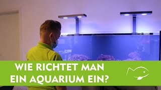 Meerwasseraquarium für Anfänger  Kevins Aquarium einrichten  Aquatop [upl. by Meneau]