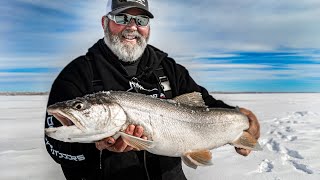 The MONSTERS of Fort Peck Lake  Best Lake Trout Fishing  Trophy Lakers  InDepth Outdoors S14 E17 [upl. by Houston]