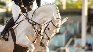 Horse Jumping Video  Symphony [upl. by Howenstein203]