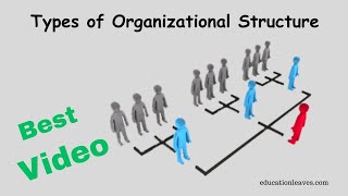 Types of Organizational Structure in management [upl. by Alboran]