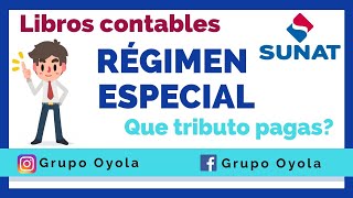 Régimen Especial  Libros contables y que impuestos debes pagar SUNAT 2020 [upl. by Christen]