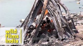 Burning dead body in Hindu cremation [upl. by Dnallor508]