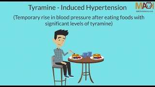 MAO Inhibitors MAOI  Tyramine Induced Hypertension [upl. by Ellenoj]