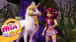 Mia and me  The Wizened Woods  Season 1  Episode 14 [upl. by Ilise]