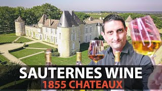 Your Essential Guide to Sauternes  Fine Rare amp Most Expensive Wines from Bordeaux Part3 [upl. by Zetnauq]