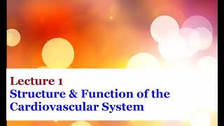 Lecture 1  Introduction to the Cardiovascular System [upl. by Auhsuoj555]