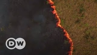 Como o desmatamento e queimadas ameaçam a Floresta Amazônica [upl. by Nagar311]