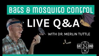 Do bats eat mosquitoes Bat Expert Dr Merlin Tuttle explains [upl. by Kapor954]