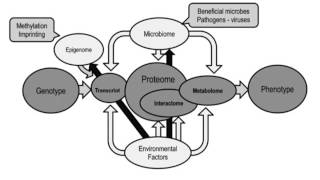 Introduction to Proteomics [upl. by Nytsrik]