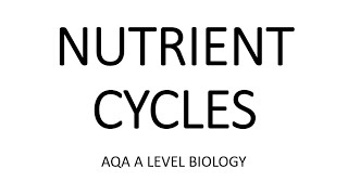 NUTRIENT CYCLES  AQA A LEVEL BIOLOGY  EXAM QUESTIONS RUN THROUGH [upl. by Brigg]