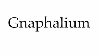 How to Pronounce Gnaphalium [upl. by Nivaj]