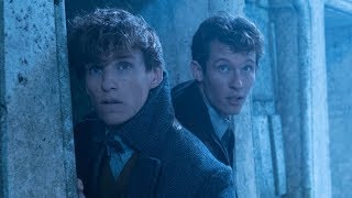 The Fantastic Masculinity of Newt Scamander [upl. by Nawotna106]