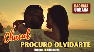 CHACAL ► Procuro Olvidarte Bachata Romantica [upl. by Gillead]