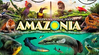 Zoo Tours Amazonia  Smithsonian National Zoo [upl. by Ecissej737]