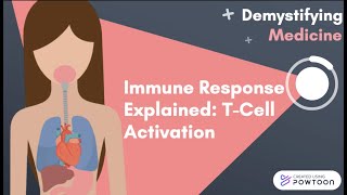 Immune Response Explained TCell Activation [upl. by Gennie636]