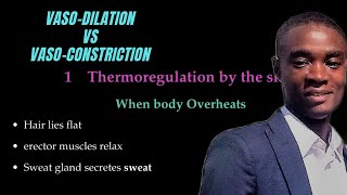 Homeostasis Vasodilation Vs Vasoconstriction [upl. by Elleirda]