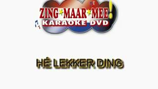 Frans Bauer  He lekker ding  KARAOKE  Lyrics [upl. by Ahsaelat]