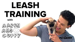 PetSmart Puppy Training Loose Leash Training [upl. by Phillips]