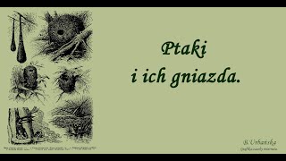 Film edukacyjny quotPtaki i ich gniazdaquot [upl. by Pike]