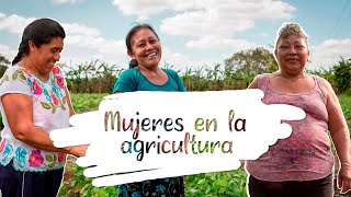 Minidocumental Mujeres en la agricultura  Yucatán México [upl. by Naenaj842]