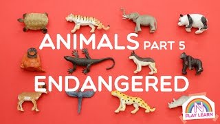 Learning Animals Names and Sounds for Kids  Part 5 Endangered Species [upl. by Nivlad645]