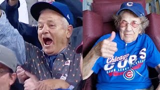 Best Cubs World Series Win Fan amp Celebrity Reactions [upl. by Immij]