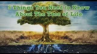 5 Things You Need to Know About The Tree of Life [upl. by Hughes749]