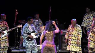 King Sunny Ade amp His African Beats  Dance Medley Live on KEXP [upl. by Ahsrats]