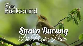 Suara Burung Bird di pagi hari Free BackSound [upl. by Allain311]