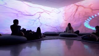 Pipilotti Rist Sip my Ocean  Museum of Contemporary Art Australia Sydney [upl. by Pillow]