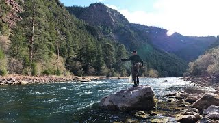 The GREATEST trout stream in the US [upl. by Yennek]