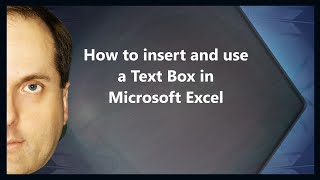 How to insert and use a Text Box in Microsoft Excel [upl. by Oidiple]