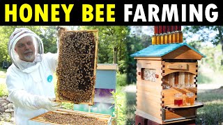 How to start Honey Bee Farming at Home for beginners  Beekeeping  Honey Farming  Apiculture [upl. by Andromeda872]