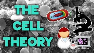 The Cell Theory  Complete Breakdown in 8 Minutes  Bio 101  STEMstream [upl. by Floeter870]