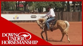 Clinton Anderson Training a Rescue Horse Part 12  Downunder Horsemanship [upl. by Eelatsyrc455]