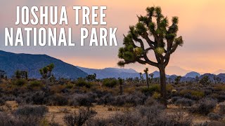 15 Places to Explore in Joshua Tree National Park [upl. by Cardew]