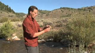 How to Measure Dissolved Oxygen in Water [upl. by Pappas31]