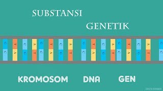 SUBSTANSI GENETIK  DNA [upl. by Aical]