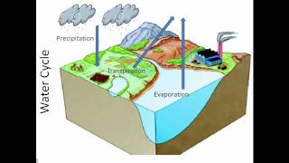 Nutrient Cycles [upl. by Nosam]