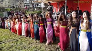 Kurdish Dance  Baile kurdo [upl. by Ellesij143]