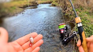 Spinning for WILD River trout spring Fishing [upl. by Yarrum]