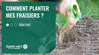 TUTO Comment planter mes fraisiers  Jardinerie Gamm vert [upl. by Oiluarb]