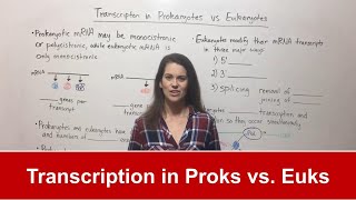 Transcription in Prokaryotes vs Eukaryotes [upl. by Ignacio158]