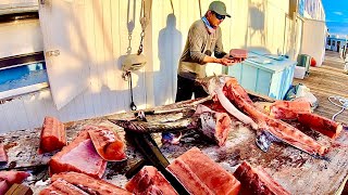 Filleting 150 lb SWORDFISH Stuffed with SQUID [upl. by Munafo]