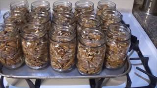 Canning Pecans [upl. by Man378]