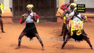 Dollu Kunitha  Folk dance of Karnataka [upl. by Laurentia906]