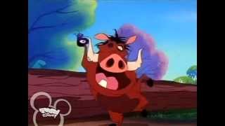 Timon amp Pumbaa Yummy Yummy Yummy Song [upl. by Enaira]